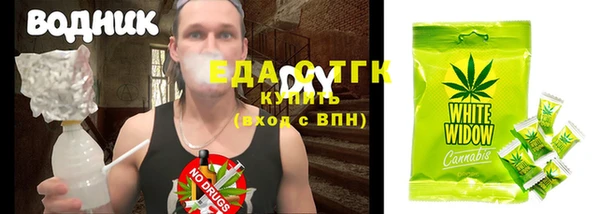 индика Вязники