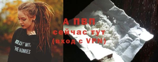 индика Вязники