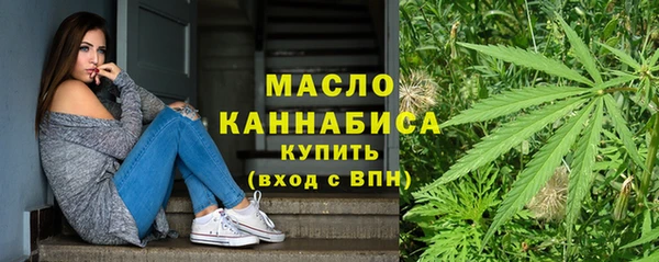 индика Вязники