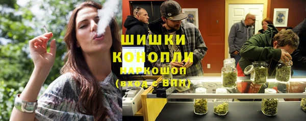 индика Вязники