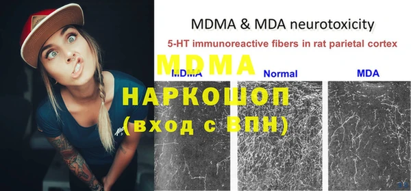 индика Вязники