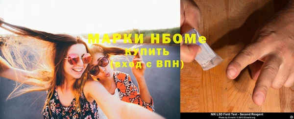 индика Вязники