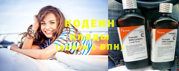 индика Вязники
